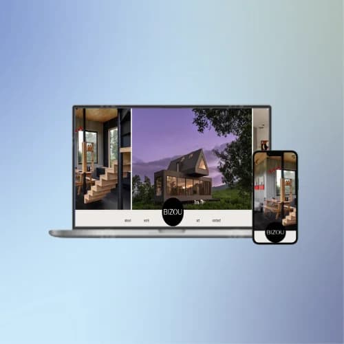 Bizou case study visual